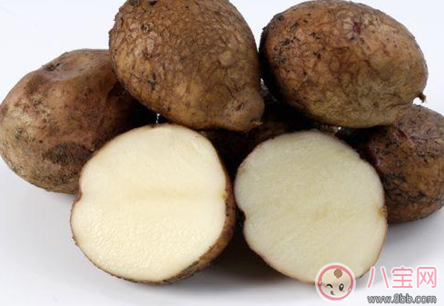 保胎吃什么食物最好 安胎保胎的食物有哪些