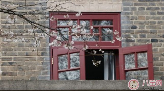 武大櫻花公眾號預約2018 公眾號怎么預約武漢大學櫻花門票 武大櫻花公眾號預約2018 公眾號怎么預約武漢大學櫻花門票