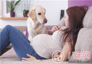 寶寶胎動了怎么發(fā)朋友圈 感覺到胎動幸福的說說句子