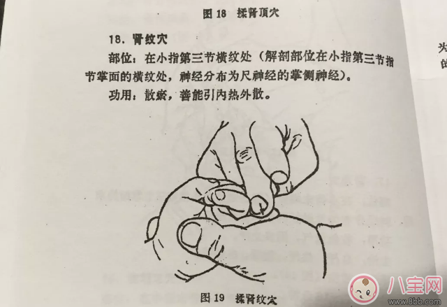 小兒推拿腎紋穴在哪 小兒推拿揉腎紋穴能治療鵝口瘡嗎