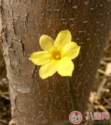 早上送孩子上學怎么發朋友圈 送女兒上學心情說說