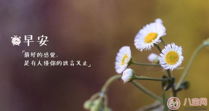 春分快樂(lè)早安心語(yǔ) 朋友圈春分快樂(lè)早安問(wèn)候語(yǔ)說(shuō)說(shuō)
