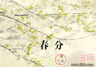 春分快樂(lè)早安心語(yǔ) 朋友圈春分快樂(lè)早安問(wèn)候語(yǔ)說(shuō)說(shuō)
