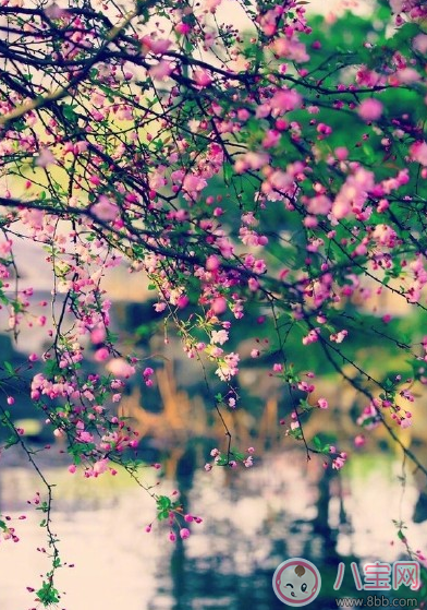 春天踏青的說說句子朋友圈 春天踏青曬圖心情說說 春天踏青的說說句子朋友圈 春天踏青曬圖心情說說