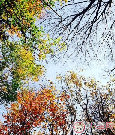 春天踏青的說說句子朋友圈 春天踏青曬圖心情說說 春天踏青的說說句子朋友圈 春天踏青曬圖心情說說