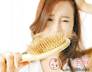 女人脫發(fā)的原因是什么 春天怎樣有效預(yù)防脫發(fā) 女人脫發(fā)的原因是什么 春天怎樣有效預(yù)防脫發(fā)