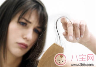女人脫發(fā)的原因是什么 春天怎樣有效預(yù)防脫發(fā) 女人脫發(fā)的原因是什么 春天怎樣有效預(yù)防脫發(fā)