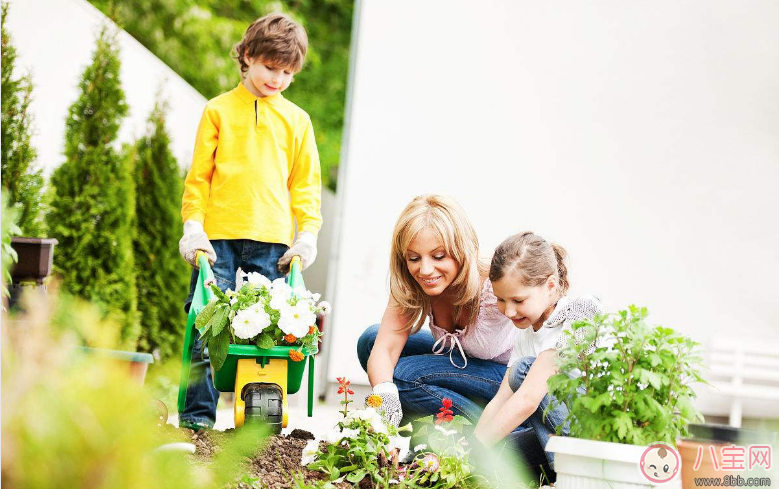 孩子房間放什么植物好 家里有孩子適合種什么植物