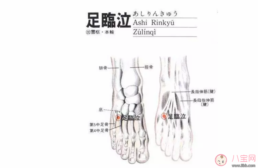 封穴回奶怎么樣 封穴回奶的操作步驟是什么