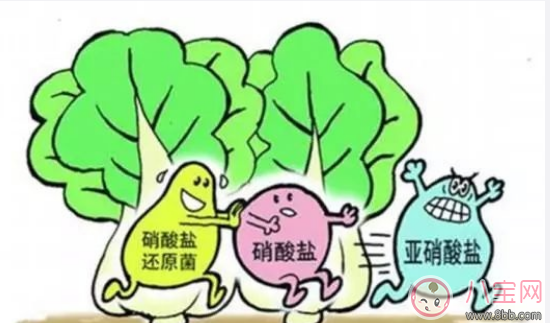 小孩喝冬瓜水中毒原因 無毒冬瓜水制作方法 小孩喝冬瓜水中毒原因 無毒冬瓜水制作方法
