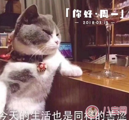 孕吐難受的說說朋友圈 懷孕孕吐難受的心情說說