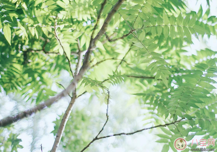 快生了曬圖心情說說 迎接新生命到來的句子朋友圈