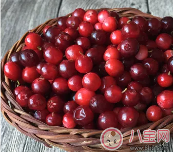 蔓越莓小孩子可以吃嗎 1歲寶寶能不能吃蔓越莓干 蔓越莓小孩子可以吃嗎 1歲寶寶能不能吃蔓越莓干