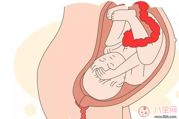 胎兒什么時候入盆 頭胎寶寶入盆多久會生 胎兒什么時候入盆 頭胎寶寶入盆多久會生