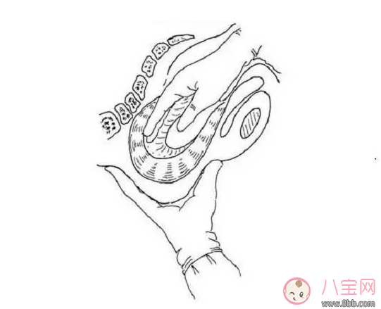 手剝胎盤沒有干凈癥狀是什么 手剝胎盤沒有干凈會(huì)有哪些影響