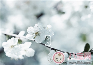 春天帶孩子踏青的心情說說 春天帶孩子賞花曬圖說說感悟 春天帶孩子踏青的心情說說 春天帶孩子賞花曬圖說說感悟