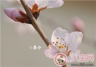 帶孩子春游曬圖朋友圈說說 春天一家人去春游的說說感悟 帶孩子春游曬圖朋友圈說說 春天一家人去春游的說說感悟