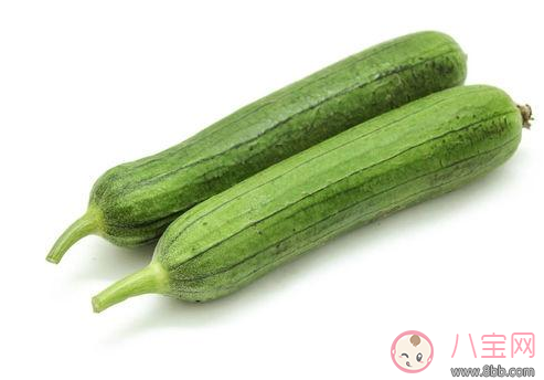 絲瓜可以催奶嗎 絲瓜催奶湯做法大全