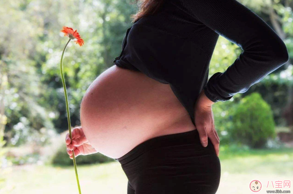 孕婦感冒咳嗽可以吃中藥嗎 孕婦有哪些中藥不能吃 孕婦感冒咳嗽可以吃中藥嗎 孕婦有哪些中藥不能吃