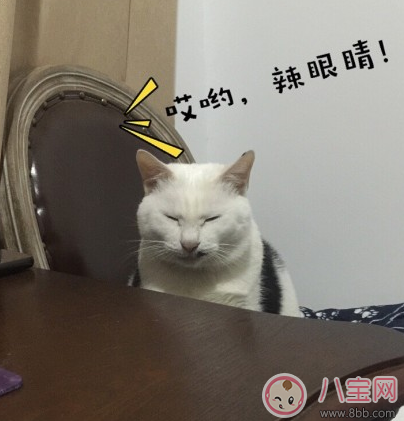 長妊娠紋的心情感慨 第一次發現長妊娠紋的感受體會 長妊娠紋的心情感慨 第一次發現長妊娠紋的感受體會