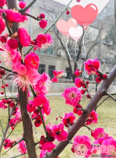 春天你好迎接春天的說說圖片 感受春天的氣息心情說說朋友圈