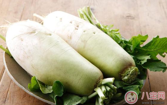 吃白蘿卜會回奶嗎 為什么吃白蘿卜出現(xiàn)回奶 吃白蘿卜會回奶嗎 為什么吃白蘿卜出現(xiàn)回奶