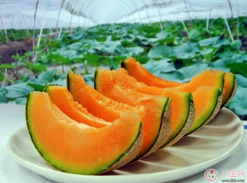 孕婦能不能吃哈密瓜 孕婦吃哈密瓜對胎兒有什么好處