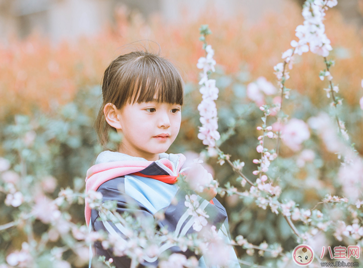 周末帶孩子踏青的心情說說 周末帶孩子出去玩開心曬圖朋友圈