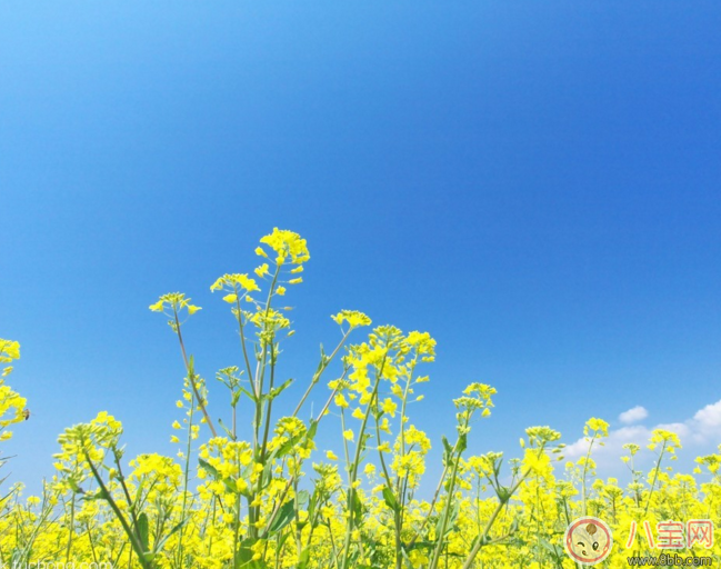 周末帶孩子踏青的心情說說 周末帶孩子出去玩開心曬圖朋友圈