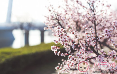 周末出去踏青怎么發(fā)朋友圈 春天周末踏青曬圖心情說說