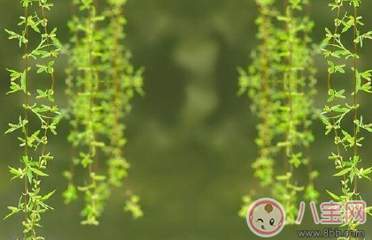 2018天氣回暖了怎么發(fā)朋友圈 天氣變暖萬物復(fù)蘇的配圖說說