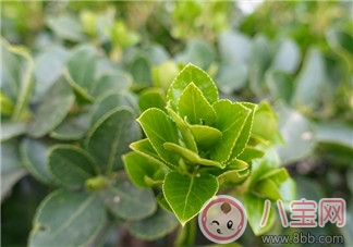 一個人帶孩子很累的心情感慨 媽媽獨自帶孩子的感受體驗 一個人帶孩子很累的心情感慨 媽媽獨自帶孩子的感受體驗