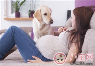 孕期媽媽會有哪些心理變化 為什么女人懷孕后脾氣會變差