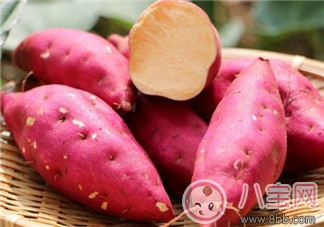 寶寶多大可以吃紅薯 寶寶便秘可以吃紅薯嗎 寶寶多大可以吃紅薯 寶寶便秘可以吃紅薯嗎