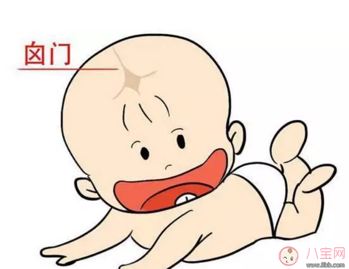 囟門閉合早晚和寶寶智力有關系嗎 寶寶囟門和智商有關系嗎