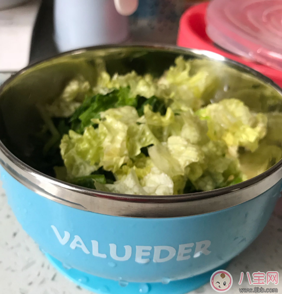 威侖帝爾寶寶吸盤碗怎么樣 威侖帝爾吸盤碗使用測評