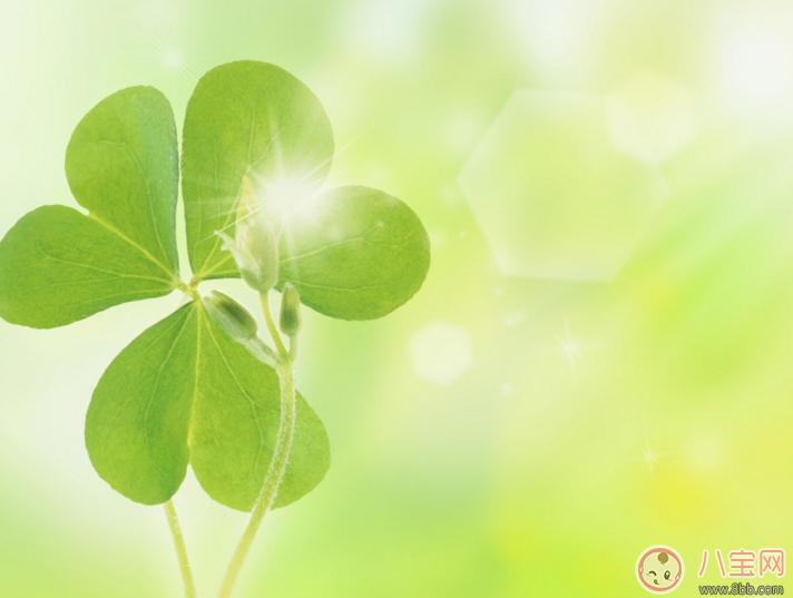 孩子慢慢長大的心情感悟 你慢慢長大我慢慢變老的句子