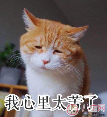 女兒發(fā)燒媽媽心情語錄 女兒發(fā)燒媽媽心疼說說句子 女兒發(fā)燒媽媽心情語錄 女兒發(fā)燒媽媽心疼說說句子