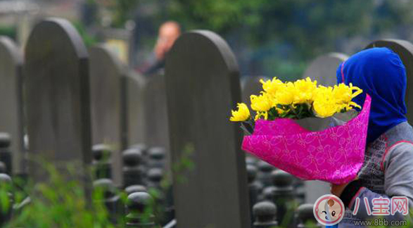 清明節前可以掃墓嗎 清明掃墓的祭掃的順序