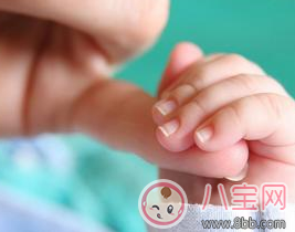 寶寶指甲多久剪一次好 怎樣正確給寶寶剪指甲