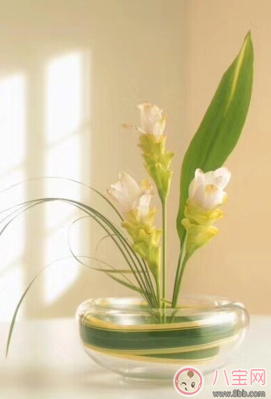 3月再見4月你好的說說句子 4月你好3月再見的說說配圖 3月再見4月你好的說說句子 4月你好3月再見的說說配圖