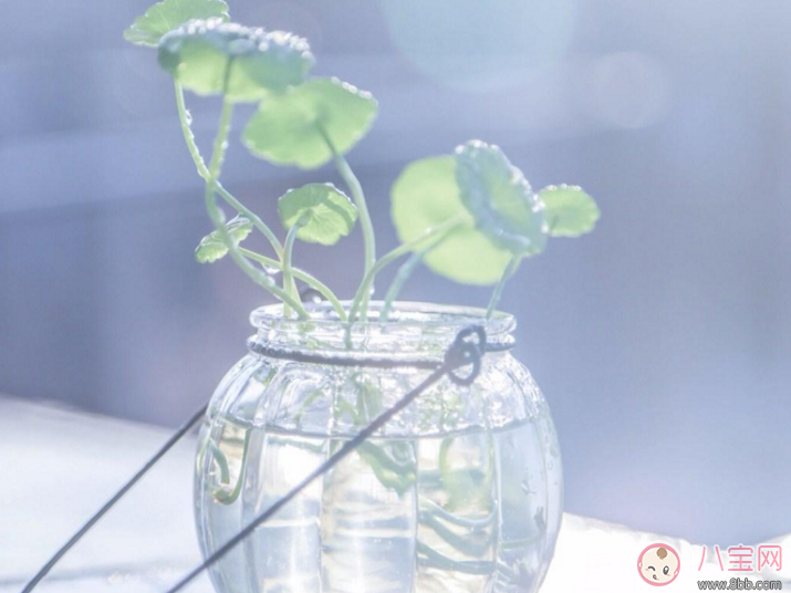 3月再見4月你好的說說句子 4月你好3月再見的說說配圖 3月再見4月你好的說說句子 4月你好3月再見的說說配圖