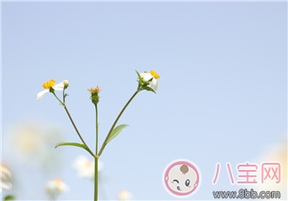 3月再見4月你好的說說句子 4月你好3月再見的說說配圖 3月再見4月你好的說說句子 4月你好3月再見的說說配圖