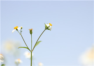 3月再見4月你好的說說句子 4月你好3月再見的說說配圖