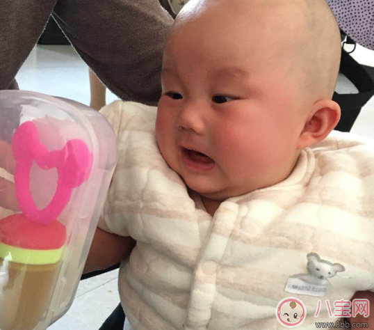 貝拉比咬咬樂怎么樣 貝拉比寶寶水果咬咬樂好用嗎