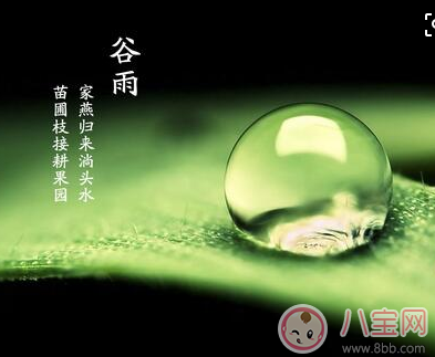 2018谷雨出生的寶寶好不好 谷雨節氣出生的寶寶命運怎么樣 2018谷雨出生的寶寶好不好 谷雨節氣出生的寶寶命運怎么樣