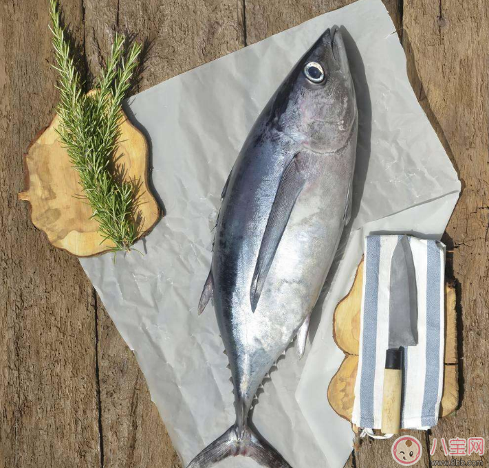 孕婦可以吃生金槍魚嗎 如何選購孕期吃的金槍魚