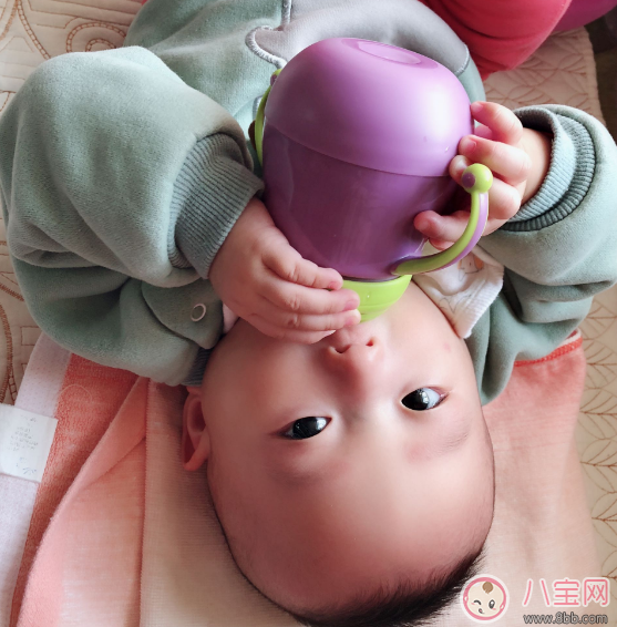 荷蘭UMEE寶寶鴨嘴杯怎么樣 荷蘭UMEE寶寶鴨嘴杯測評