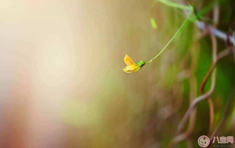 孩子學習沒有動力怎么辦 怎么促進孩子學習的上進心 孩子學習沒有動力怎么辦 怎么促進孩子學習的上進心