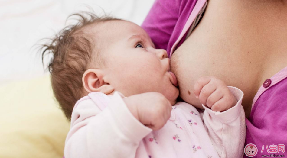 掛喂追奶科學嗎 回奶了怎么追奶最有效